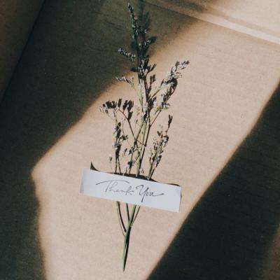 球探比分旧版大全